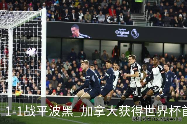 1-1战平波黑 加拿大获得世界杯首个积分